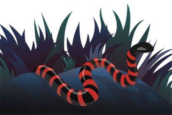 梦到了多头蛇是咋回事