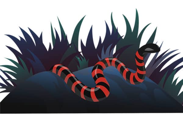 梦到被蛇咬伤预示什么