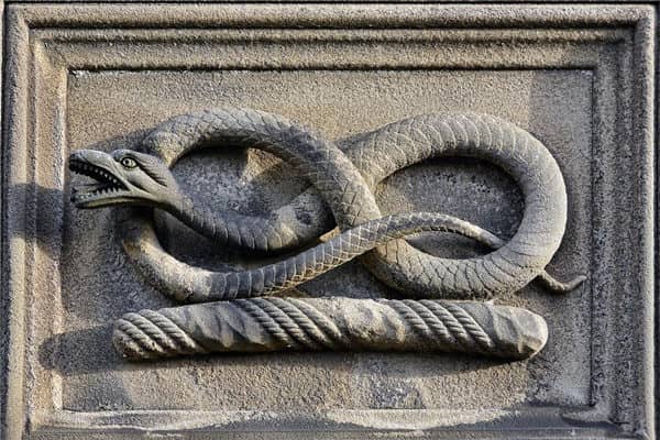 梦到被很多蛇咬是凶兆还是吉兆