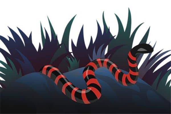 梦到了孕妇打死蛇是什么预兆？