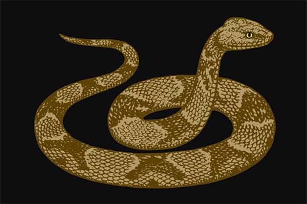 梦到蛇在肚子里是什么意思