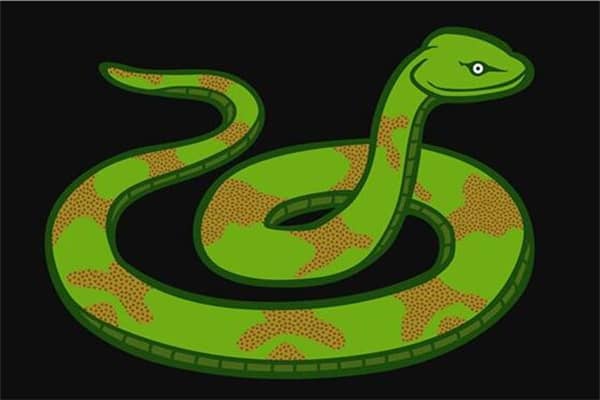 梦见喂蛇有什么征兆