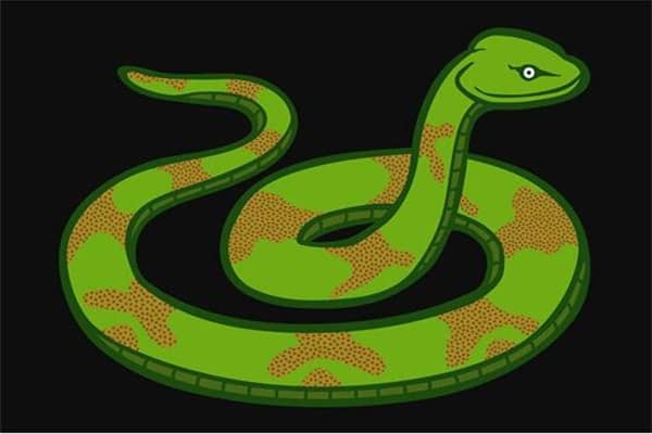 梦见全是蛇是什么意思